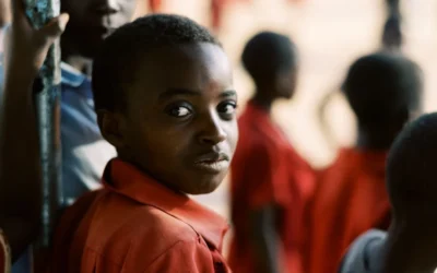 Calming Nowa’s Storm