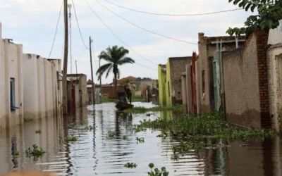 A Bridge Over Roaring Waters